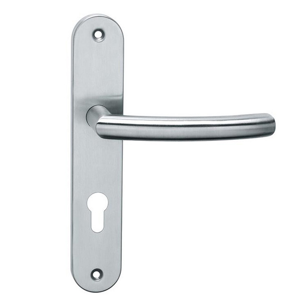 Stainless Steel Door Handles On Backplates