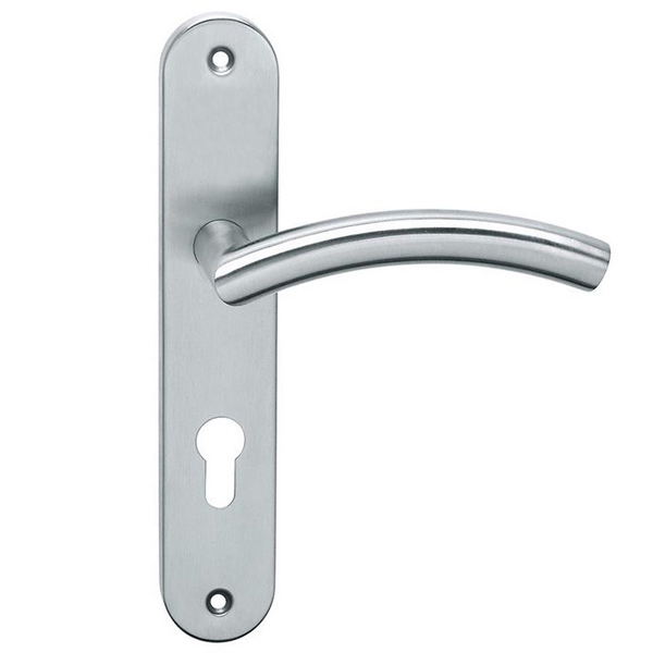 Stainless Steel Door Handles On Backplates