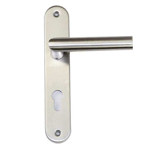 Stainless Steel Door Handles On Backplates