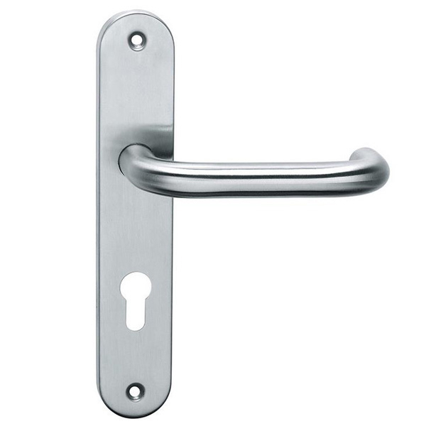 Stainless Steel Door Handles On Backplates