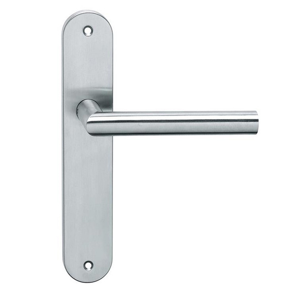 Stainless Steel Door Handles On Backplates