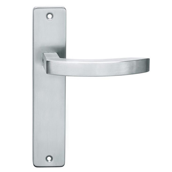 Stainless Steel Door Handles On Backplates