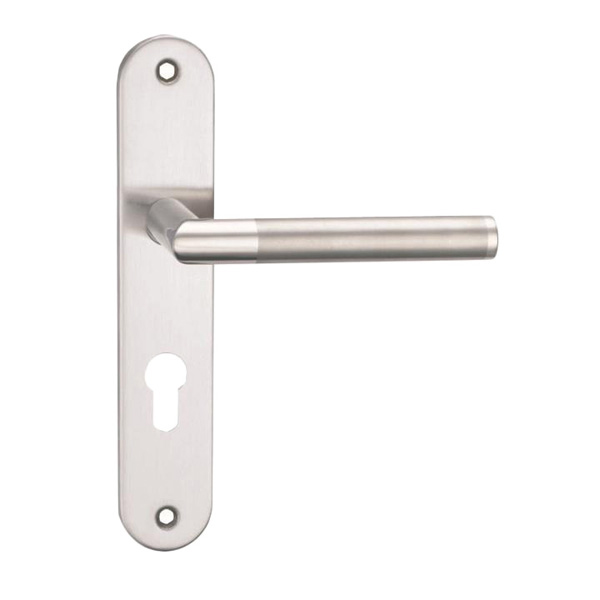 Stainless Steel Door Handles On Backplates